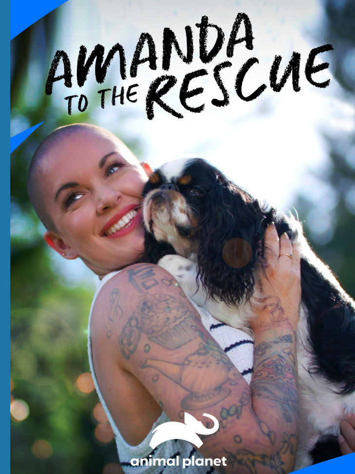 The Dr. Pat Show, Dr. Pat Show, Dr. Pat, Pat Baccili, Transformation Talk Radio, transformation, Darcy Pariso, Amanda Giese