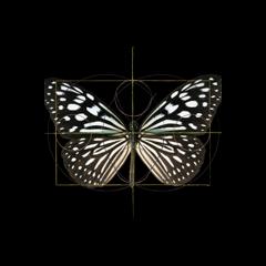 2022 &ndash; A Year of Trust and Action