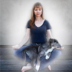 Awareness to Action with Joan Marlow:  The Journey Towards Living Your Life's Purpose: The Power of Meditation with Animals in Transforming Your Life
