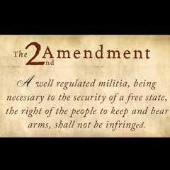 Business Game Changers Radio with Sarah Westall: Is the 2nd Amendment Under Attack?