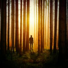 Empowerment Radio with Dr. Friedemann Schaub: Tap into the power of calm during chaos and uncertainty