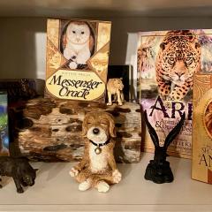 Power Animals, Spirit Animals, Familiar's