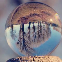 Get Big Out Loud, Kari Knutson, The Dr Pat Show, Dr Pat, Dr Pat Show, Transformation Talk Radio, transformation, Pat Baccili,