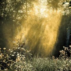 Find Your Light with Jane Matanga