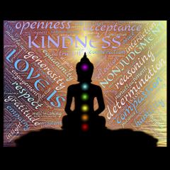 Internal Divinity Show with Lynda Lamp: Uplifting and Illuminating the Divine in Your Life: Episode 5: How Do We Become a Force for Good