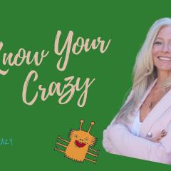 Know Your Crazy with Susan Denee: Emotional Recovery in the Raw: Relationship Hiccups