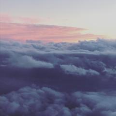 Love Living Radio with Emily Perkins - Ignite Your Whole Being!: Forgiveness: A Conscious Release for a Powerful New Year