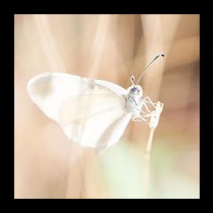 LoveLight-Sound Radio with Suzanna Jamieson: Aligning, Balancing, and Consciously Creating Your Life: LoveLight-Sound Healing Frequencies - How They Work and How They Will Benefit You