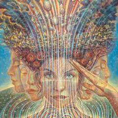 Lucid Planet Radio with Dr. Kelly: Inspiration, Creativity and Responsibility with Visionary Artist Amanda Sage 