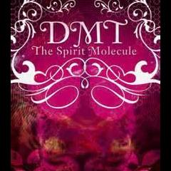 Lucid Planet Radio with Dr. Kelly: Open Source Reality: The Emergence of a Meta-Myth, with Mitch Schultz