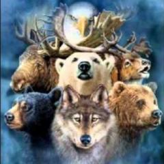 Lucid Planet Radio with Dr. Kelly: Power Animals, Spirit Clans and Shamanism: Indigenous Wisdom with David Carson 