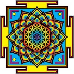 Lucid Planet Radio with Dr. Kelly: The Psychedelic Renaissance: Healing People and Policies, with Rick Doblin PHD from MAPS
