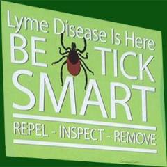 Lyme Talk Radio with Dr. Pat Baccili : The Lyme Disease Conversation Continues with Guest Co-host Dr. Nooshin Darvish. Special Guests Dori & Dayna.