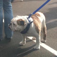 Nothing But Now ~ Mindful Living with Dr. Mariangela Maguire: Interview with Toriano Sanzone