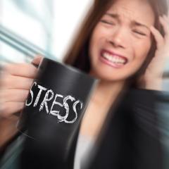 trish-smith-pure-intuitive-talk-wild-times-stress