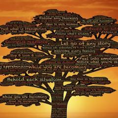 Sharing Love & Light Show with Kimberly Barrett: Vibration and Consciousness on the Planet: Navigating the current energies - spirit having a human experience