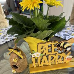 Shifting Impressions: Conversations with The Realm of Beings to Create a New You: Grab Those Reins and Live Without Stress