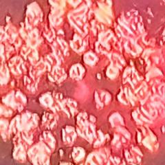 Shifting Impressions: Conversations with The Realm of Beings to Create a New You: Stop Sabotaging Your Health