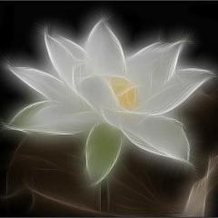 Spacious Unknowing Network: Communing with Your Soul with Julie O Rose & JoJo Rose: At The Table ~ Calling You In ~ Calling You In ~ Calling You In