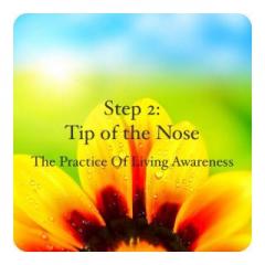 Spirit Fire Radio: The Practice of Living Awareness, Step 2: Tip of the Nose. Our guest Dr. Lisa Napora Discusses Systemic Change