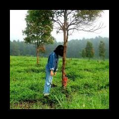 The Ally Effect with Allyson Blythe: Authentically Living Life Your way: Top 10 Things NOT To Do in Communication 