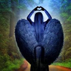 sue storm-angel-angel lady-transformationtalkradio