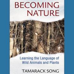 The Dr. Pat Show: Talk Radio to Thrive By!: Becoming Nature - A Guide to Animal Communication Through Mindfulness with Tamarack Song