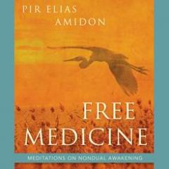 The Dr. Pat Show: Talk Radio to Thrive By!: Free Medicine: The Blessing of Nondual Awakening with Author and Sufi Teacher Pir Elias Amidon