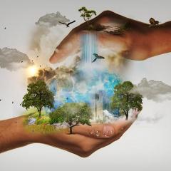 the dr pat show on transformation talk radio network