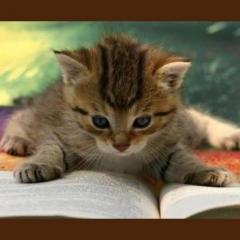 Pets-Talk-with-Pet-Communicator-dr-Monica-Diedrich-the-Dr-Pat-Show-transformation-talk-radio.com