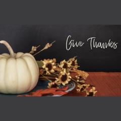 The Angel Lady, Sue Storm, The Dr Pat Show, Dr Pat Show, Dr Pat, Pat Baccili, Transformation Talk Radio, transformation