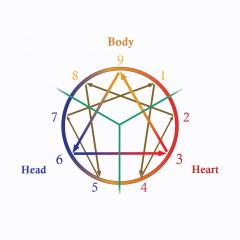 The Dr. Pat Show: Talk Radio to Thrive By!: The Enneagram Instincts and Subtypes with Guest Host Renee Siegel and Guest Andrea Andress