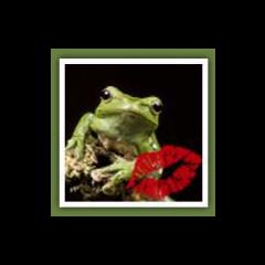 The Dr. Pat Show: Talk Radio to Thrive By!: The Journey of Master Kambo Practitioner Simon Scott and Ginny Rutherford 