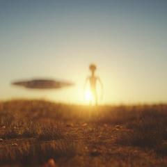 The Ecosystem Approach, Jason & Patricia Rohn, The Dr Pat Show, Dr Pat Show, Dr Pat, Pat Baccili, Transformation Talk Radio, transformation