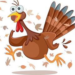 The Ecosystem Approach&trade; Show with Jason & Patricia Rohn: A revolutionary way to infinite potential!: Great Thanksgiving - want to have the best Thanksgiving ever?
