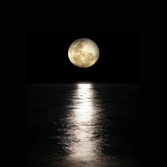 The Ecosystem Approach&trade; Show with Jason & Patricia Rohn: A revolutionary way to infinite potential!: Light and Dark &ndash; essential understanding! 