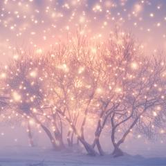 The Ecosystem Approach&trade; Show with Jason & Patricia Rohn: A revolutionary way to infinite potential!: Magical thinking &ndash; make it work for you!