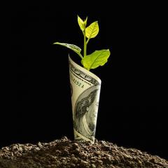 Money - empowering things you can do to have more!