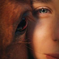 The Empower Me Show with Pam Bright: A Spiritual Toolbox for Your Life: Alchemy with Horses with special guest- Brenda Westwood