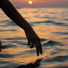 The Empower Me Show with Pam Bright: A Spiritual Toolbox for Your Life: Full Body System Wellness with Pam Bright