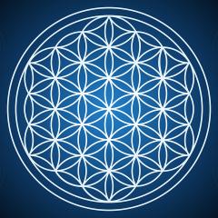 The Empower Me Show with Pam Bright: A Spiritual Toolbox for Your Life: Who are the Divine Divas? - The Language of Light Series Episode 3 with Special Guest Bryan Rawls