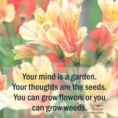 Jenn Royster Show - Angel Insights Mercury Retrograde: Your Thoughts Intentions and Words Have Power