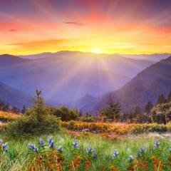 The Karmic Path Radio with Tina and Laura : Taking the Airy, Fairy and Scary out of the Paranormal with Dr. Pat Baccili