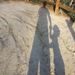 The Karmic Path Radio with Tina and Laura : What is your Family Foundation?