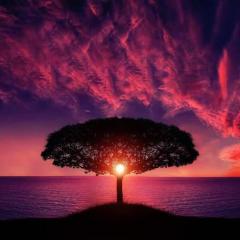 The Kornelia Stephanie Show: Encore: "How to Survive the Murder of a Loved One" with Dawn Diviniste