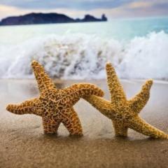 The Mindset Makeover with Lisa & Michelle: Strengthening The Connection - Get your Universal HUG