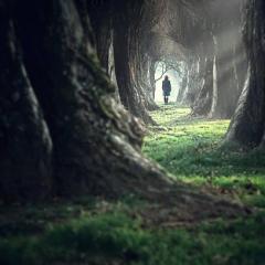 Escaping perpetual darkness into the light of higher consciousness.  The amazement of human potential becoming all that you are.  The OM Factor.