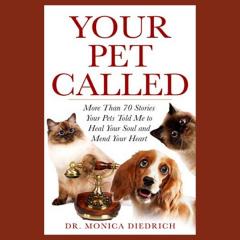 The Dr Pat Show, Dr Pat Show, Dr Pat, Pat Baccili, Transformation Talk Radio, transformation, Dr Monica Diedrich, Your Pet Called
