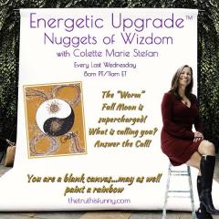 energetic upgrade with colette marie stefan nuggets of wizdom