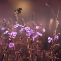 karen betten guest host the truth is funny with guest marysia watson